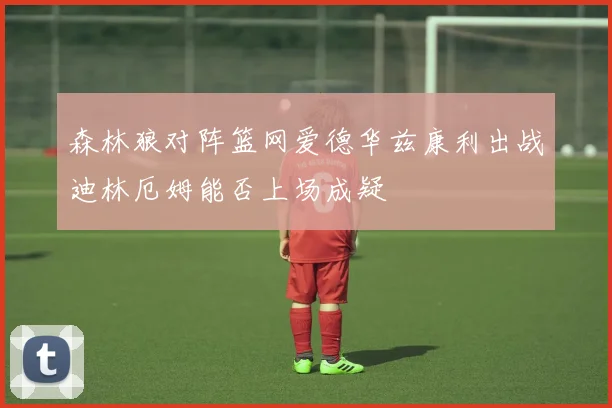 森林狼对阵篮网爱德华兹康利出战迪林厄姆能否上场成疑