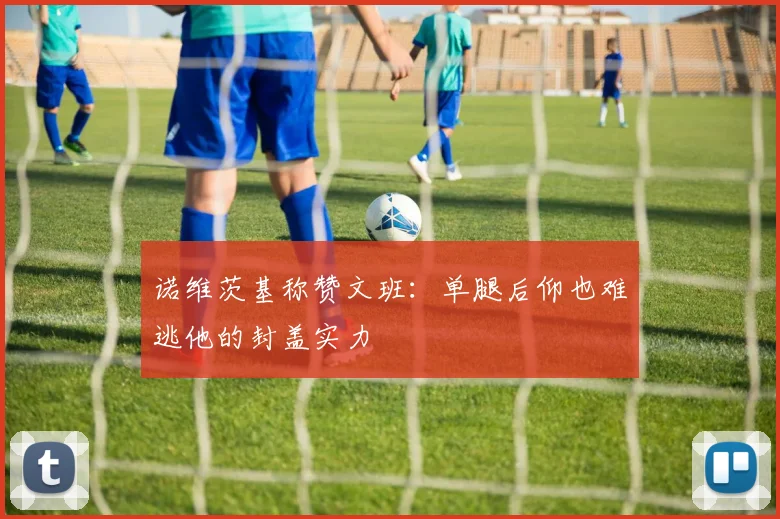 诺维茨基称赞文班：单腿后仰也难逃他的封盖实力