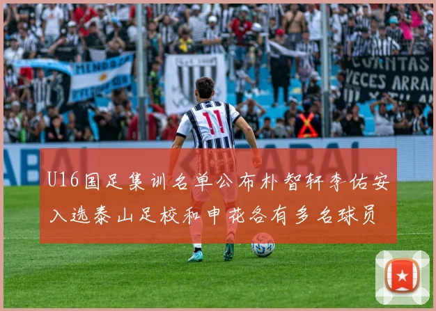 U16国足集训名单公布朴智轩李佑安入选泰山足校和申花各有多名球员参与