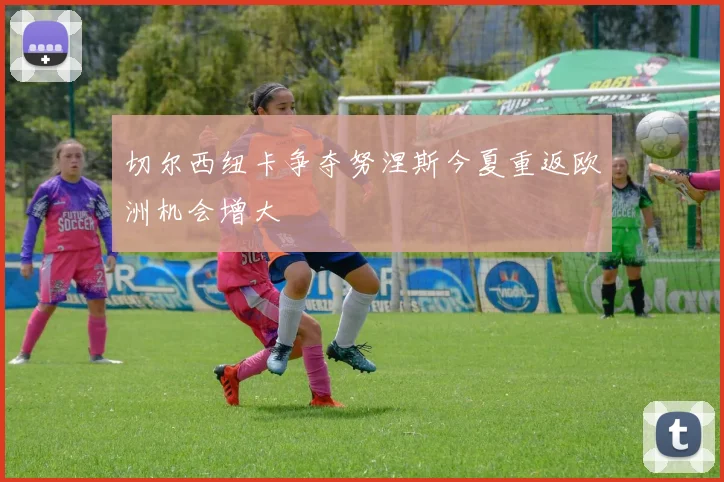 切尔西纽卡争夺努涅斯今夏重返欧洲机会增大