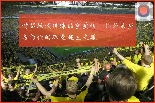 特雷杨谈传球的重要性：化学反应与信任的双重建立之道