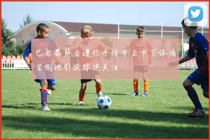 巴尔泰萨吉遭对手传中击中下体痛苦倒地引发球迷关注